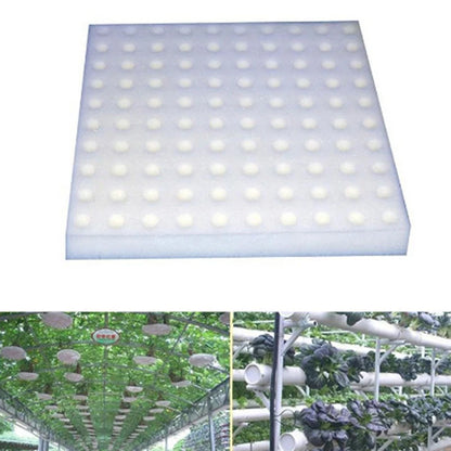 100 pieces White Seedling Sponge Soilless Hydroponic Vegetables Cultivation Plant Nursery Pots Seedlings Cloning Collar Garden